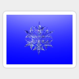 True Blue Fractal Snowflake Sticker